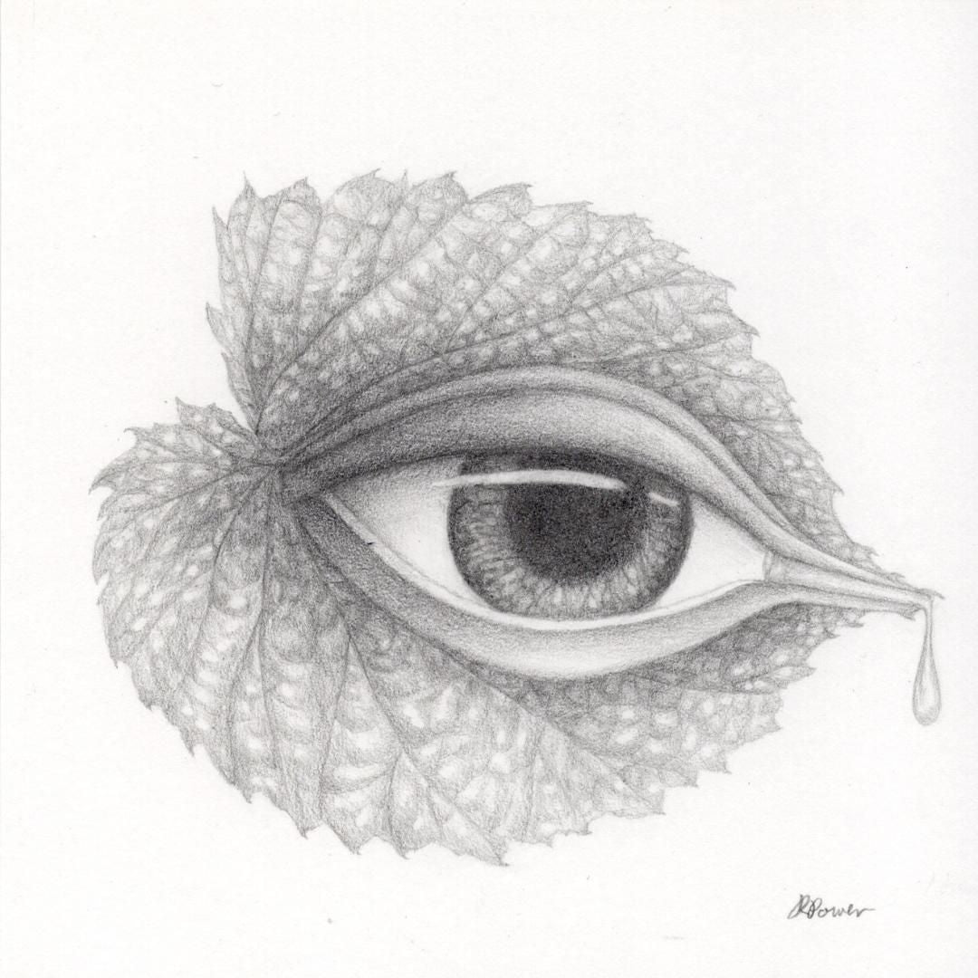 Sorrow | Original drawing by Rachel Power